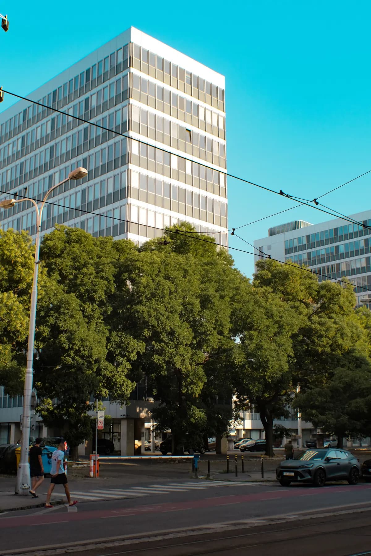 El edificio visto desde la calle, entre árboles y cableado urbano.